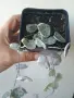 Церопегия, ceropegia woodii variegata, снимка 2