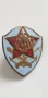 Значка,Нагръден знак НССТ, снимка 6