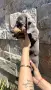🐾 Мини дакелче – момче търси своето ново семейство! 🐾, снимка 2