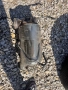 DPF за mercedes w213 654 194кс, снимка 1