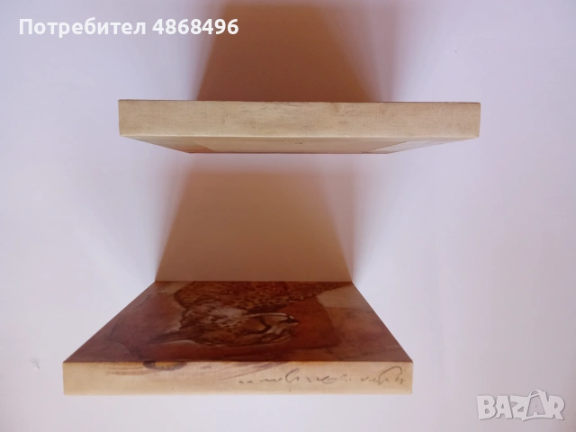 Декоративни дървени пана на Joadoor, снимка 9 - Картини - 55090346