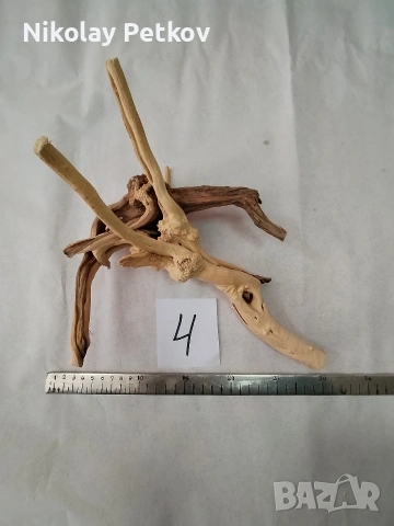 Корени за аквариум, терариум, паладиум , снимка 6 - Аквариуми - 44083269