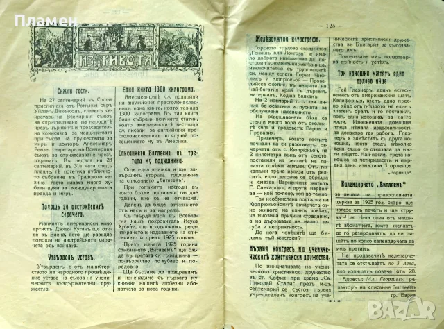 Витлеемъ. Кн. 1-9 / 1924, снимка 14 - Антикварни и старинни предмети - 55431172