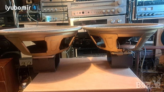 Echolette 12" Izopfon, снимка 7 - Тонколони - 54929812