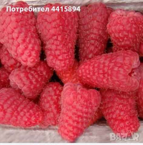 Ягоди и малини 