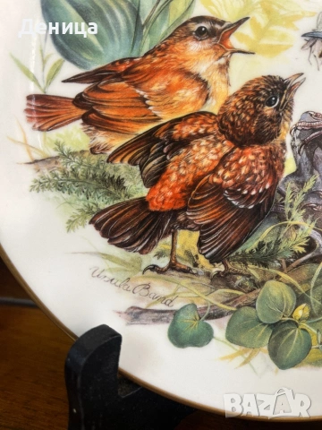 Чинията е много красива♥️ Колекционерска порцеланова чиния от серията „Hungrige Rotkehlchen“ (Гладни, снимка 7 - Други - 54117601