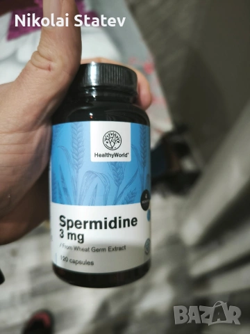 Spermidine/Спермидин