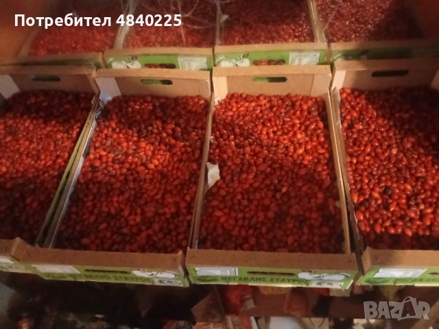 Сушена шипка, снимка 2 - Други - 54697400