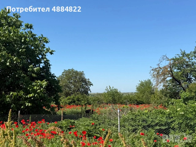 Продава се къща с голям двор в с. Щипско, община Вълчи дол, снимка 4 - Къщи - 55275120
