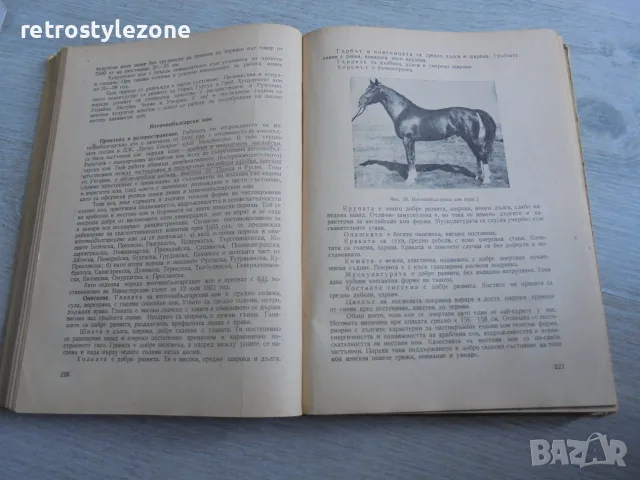 № 8697 Стара книга „Животновъдство“ – В. Груев, Земиздат, 1956 г.   , снимка 3 - Други - 55341919