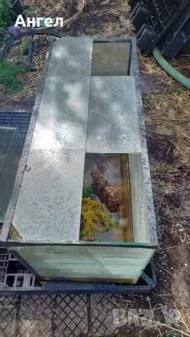 Аквариум за рибки , снимка 5 - Аквариуми - 54006395