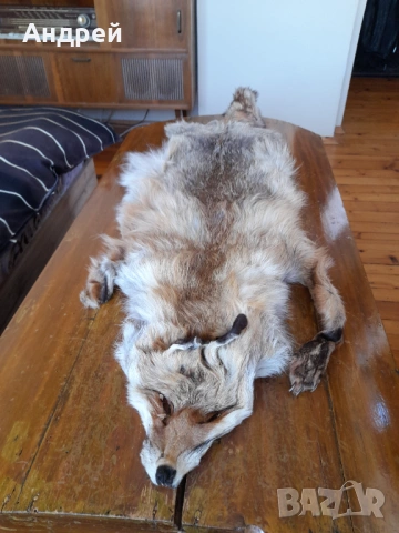 Стара кожа от Лисица