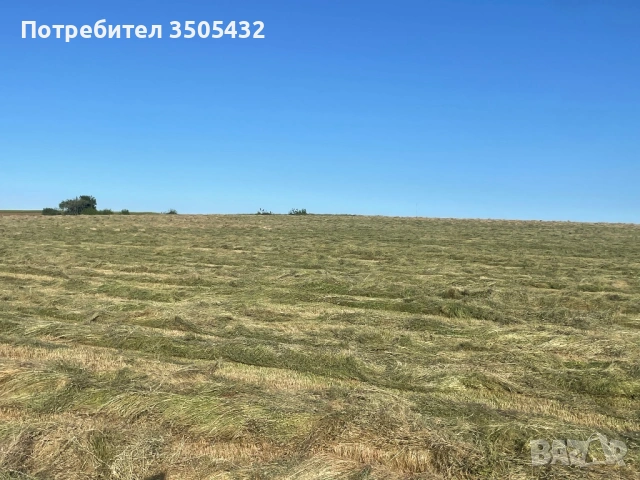 Бали сено, снимка 2 - Други - 52445825