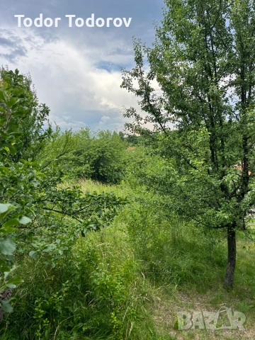 Продава Парцел, с.Дивотино, област Перник, снимка 2 - Парцели - 55012046