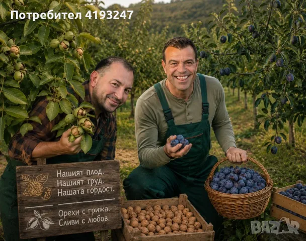 Сливи за ракия,компот и сладко, снимка 7 - Домашни продукти - 55680373