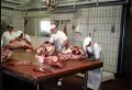 Работа за семейства в Чехия , снимка 2