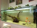Аквариум+шкаф..., снимка 1