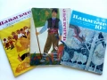 Пламъче - 1973 /76 /87г., снимка 1