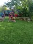 Чехославашки вълчак, снимка 16