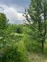 Продава Парцел, с.Дивотино, област Перник, снимка 2