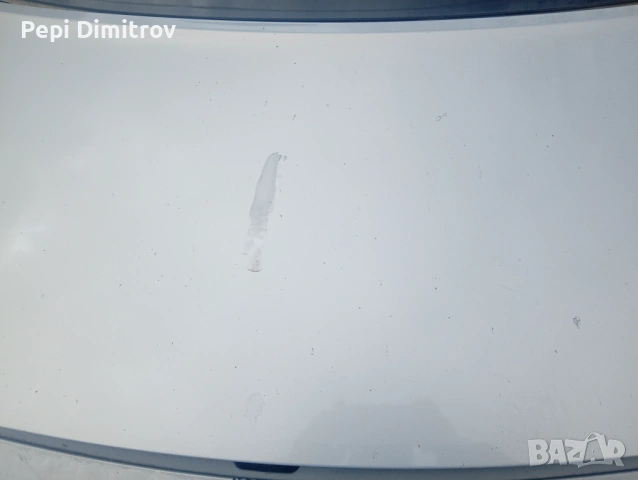 Преден капак Renault Scenic II (2003-2009г.), снимка 3 - Части - 54085683