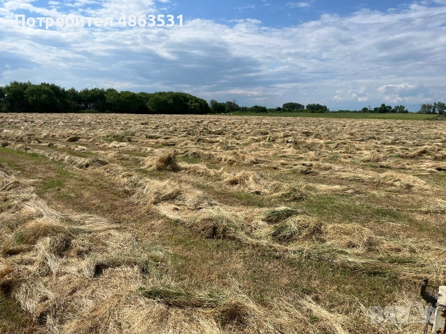 Бали 120х120 слама и сено , снимка 3 - Крави - 54991669