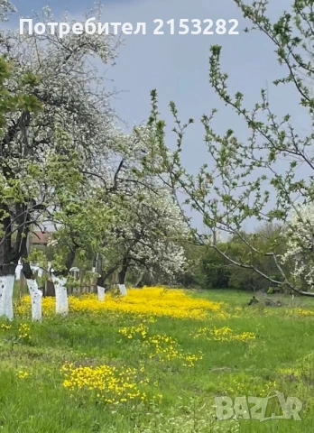 Парцели в регулация
