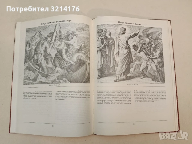 Илюстрирана Библия. 240 гравюри на дърво от Юлиус Шнор фон Каролсфелд - Юлиус Шнор фон Каролсфелд , снимка 4 - Специализирана литература - 55277163