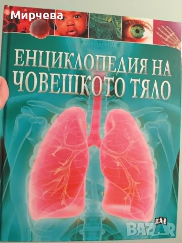 Енциклопедии за човешкото тяло, снимка 2 - Детски книжки - 55566124