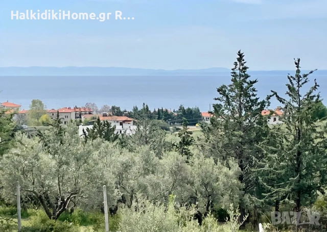 Psakudia Халкидики парцел от 5200 м2., снимка 8 - Парцели - 54693552
