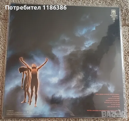 Грамофонни плочи Рок, снимка 4 - Грамофонни плочи - 55339141