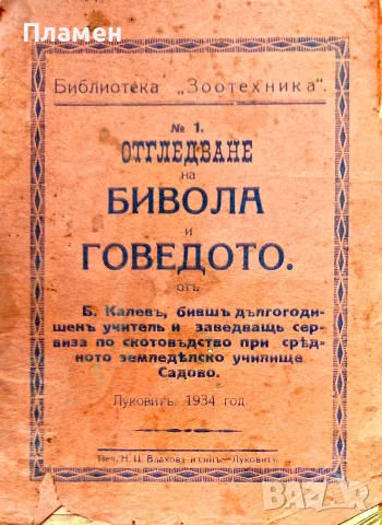 Отгледване на бивола и говедото Б. Калевъ /1934/