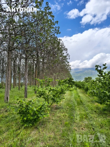 Продавам , снимка 3 - Други - 54774401
