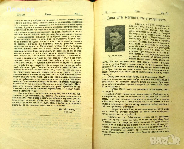 Пчела. Кн. 6 / 1931, Кн. 1 / 1932, Кн. 3 /1934, Кн.12 /1936, Кн. 4 / 1939, снимка 4 - Антикварни и старинни предмети - 55325312