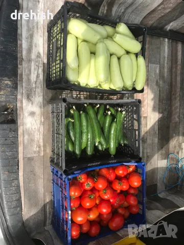 Домашни домати за консерва, снимка 4 - Домашни продукти - 55442116