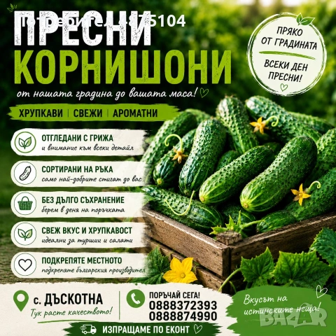 Пресни корнишони