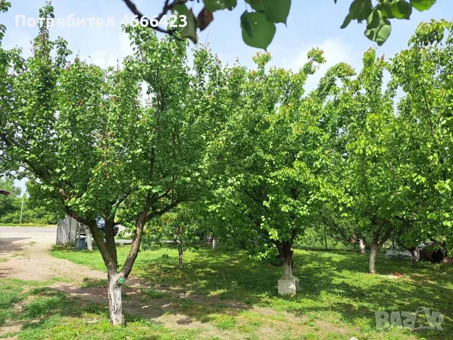 Продава двуетажна масивна къща, снимка 9 - Къщи - 55481989