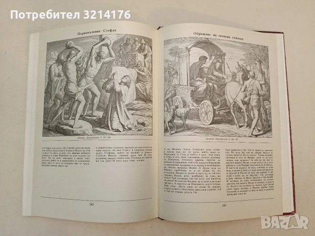 Илюстрирана Библия. 240 гравюри на дърво от Юлиус Шнор фон Каролсфелд - Юлиус Шнор фон Каролсфелд , снимка 7 - Специализирана литература - 55277163
