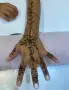 Каносване -  Body ART henna / Jagua gel( Genipa Americana), снимка 5