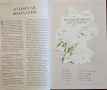 Справочник - вината на Германия 2021 / Falstaff Wein Guide Deutschland 2021, снимка 3