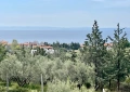 Psakudia Халкидики парцел от 5200 м2., снимка 8