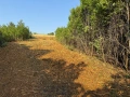 Предлагаме професионално почистване с Горски Мулчер, снимка 3