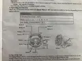 Геймърски волан Genius Speed Wheel 3 MT Windows XP, снимка 11