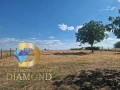 Къща с каравана в село Длъгнево, общ. Димитровград, снимка 3