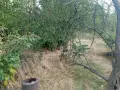 Продавам парцели в с. Капитановци, общ. Видин, снимка 3