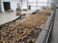 Работа в Шотландия  Фабрики Пак-Хаус Заминаване Веднага, снимка 1