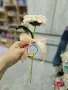 Вечни цветя за първия учебен ден. Налични! , снимка 7