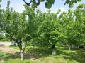 Продава двуетажна масивна къща, снимка 9