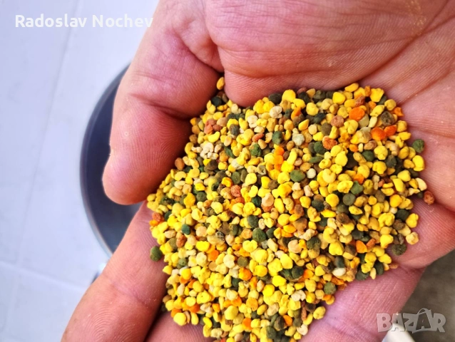 Пчелен прашец 2026, снимка 2 - Пчелни продукти - 54518380