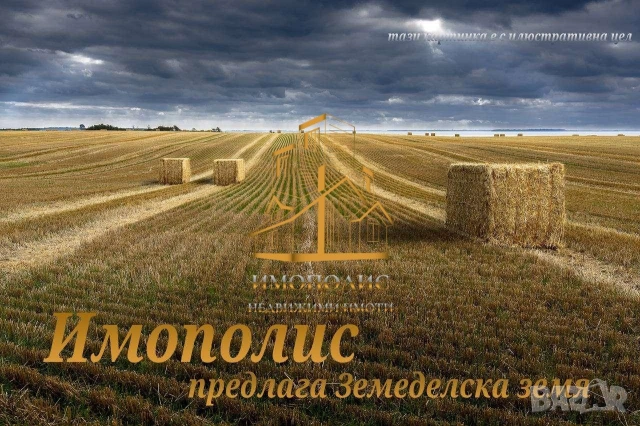 🤩 Парцел - село Кичево, Област Варна (Обява N:568799)🤩